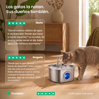Petvia AquaVital™  Fuente de Agua para Gatos con Filtración Continua