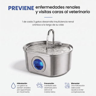 Petvia AquaVital™  Fuente de Agua para Gatos con Filtración Continua