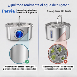 Petvia AquaVital™  Fuente de Agua para Gatos con Filtración Continua
