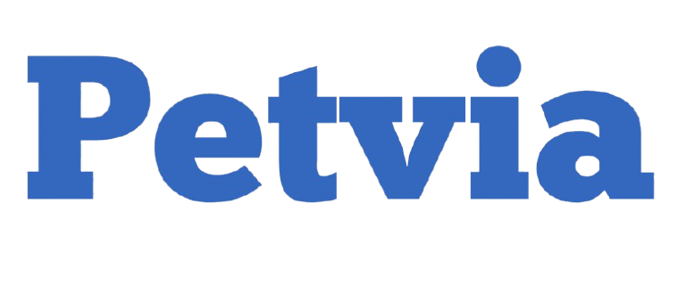 Mi tienda
